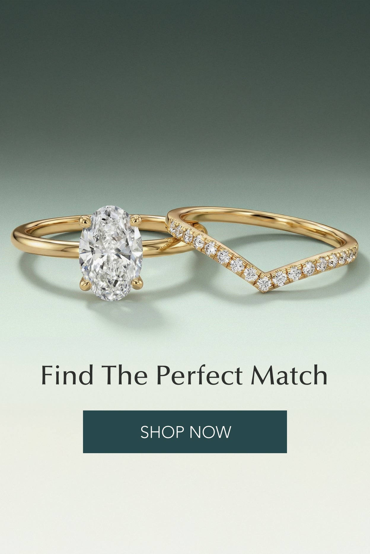Shop The Collection